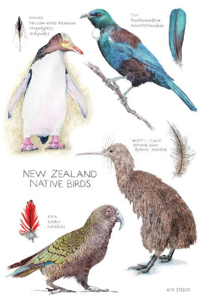 Pikitia Tea Towel - NZ Native Birds