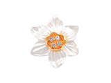 Kiwicraft Silver Daffodil Brooch with Box