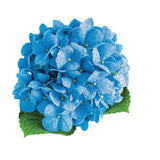 MaDD Capp Jigsaw Puzzle - I AM HYDRANGEA - 350 Piece
