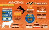 MaDD Capp Jigsaw Puzzle - I AM TIGER - 550 Piece