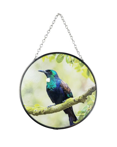 Native Birds on Glass - Tui