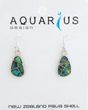 Paua - Sectioned Teardrop Hook Earring