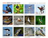 NEW ZEALAND BIRDS CALENDARS 2024